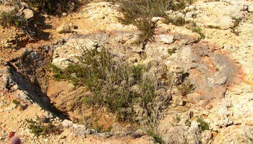 Antiche fornaci per la cottura della calce. Golfo Asparano.