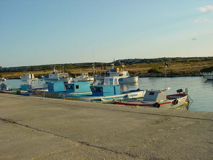 Banchina del porto