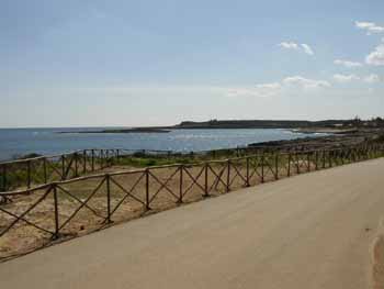 Recinzioni lungo la costa.