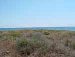 Vegetazione sull'isola nascondente i resti di una chiesetta bizantina.